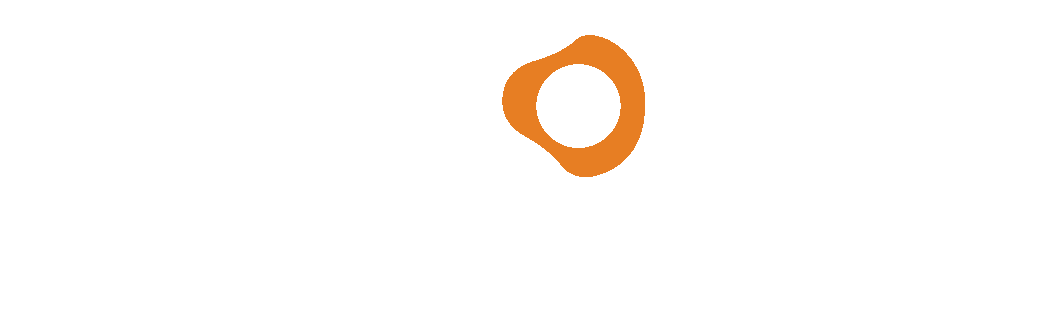BravoLogoWhiteOrange